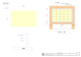 B-PAC.pdf